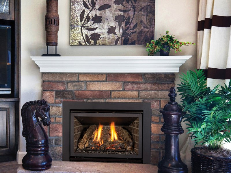 Kozy Heat Fireplace Insert: Chaska 25 – HeatingWorld