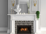 Kozy Heat Fireplace Insert: Chaska 34