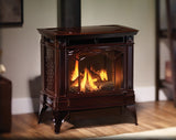 REGENCY H35 Hampton Direct Vent Gas Stove