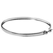 Stainless Steel DuraTech: Locking Band